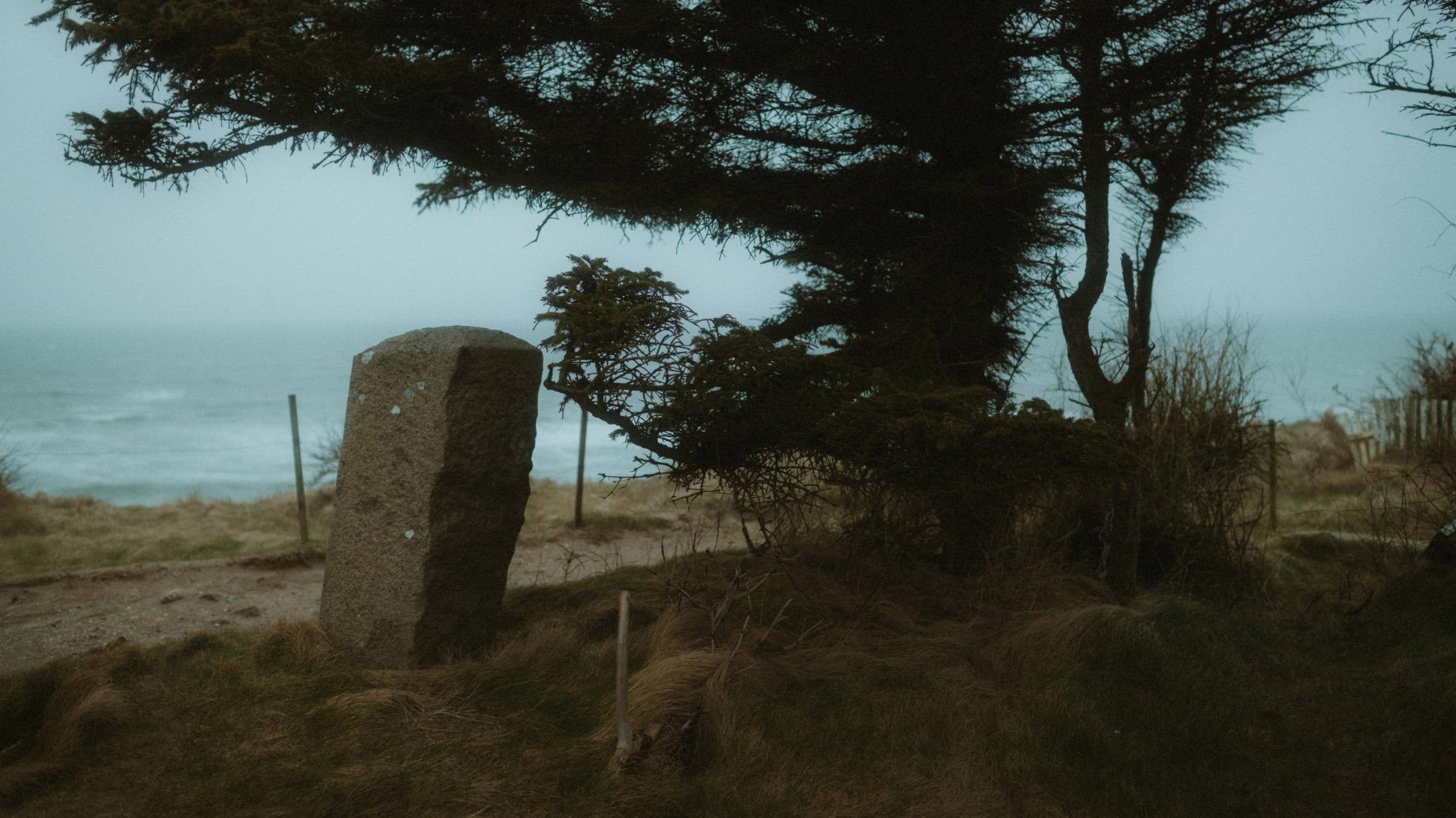 Ein vom Wind geformter Baum und ein einzelner Grabstein über der grauen Nordsee bei Løkken.