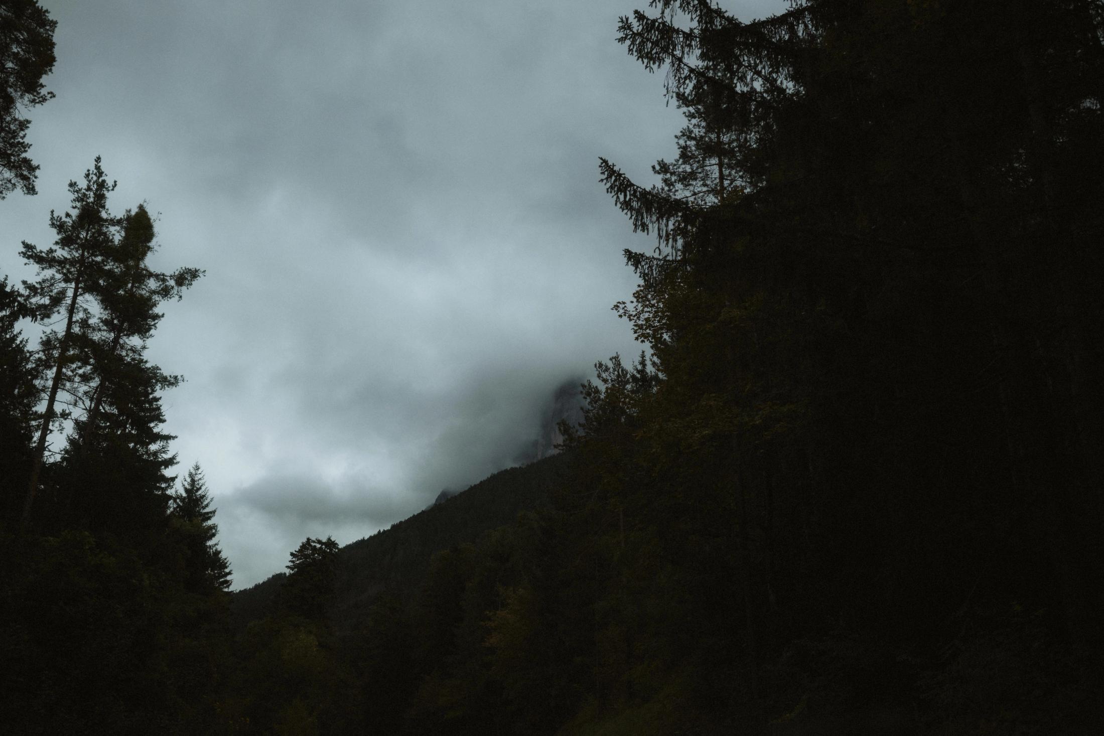 Low clouds hanging above dark pine trees in the Dolomites.