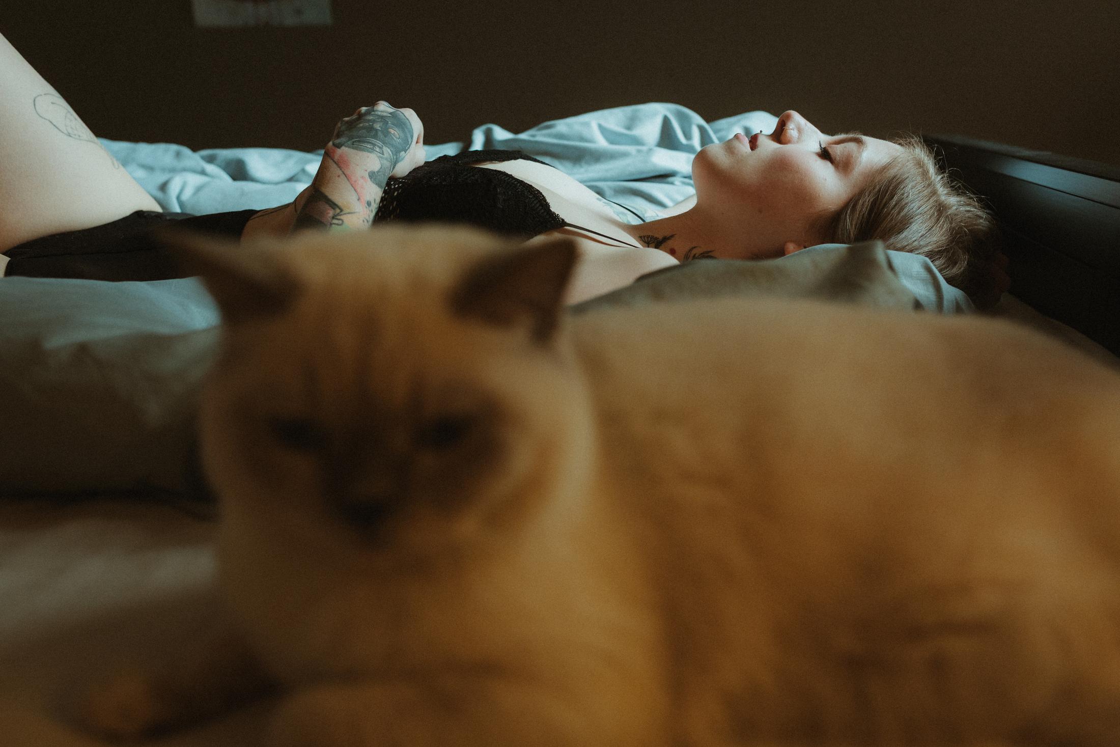 Anki lies on the bed while a cat fills the foreground.