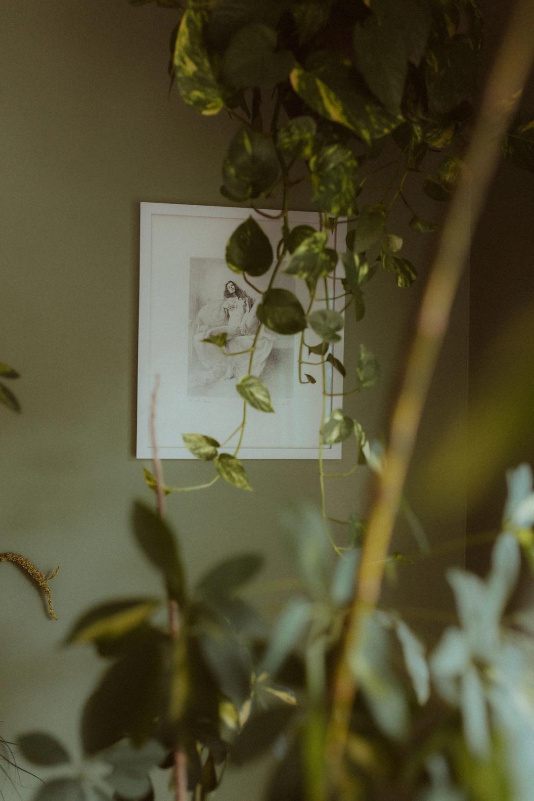 Framed artwork seen through leaves in Maya’s Manhattan apartment.