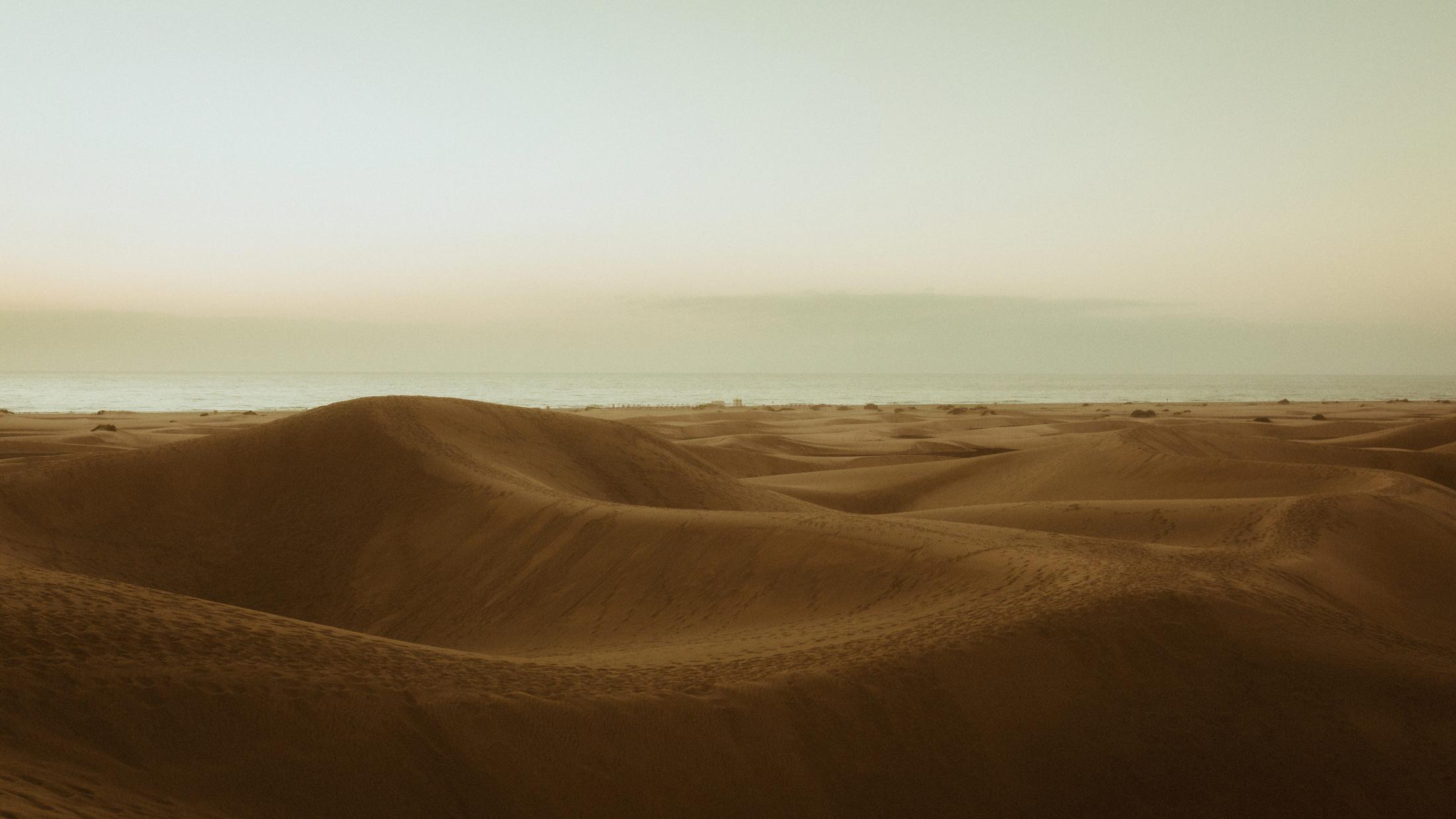 Empty dunes stretching toward a pale ocean horizon.