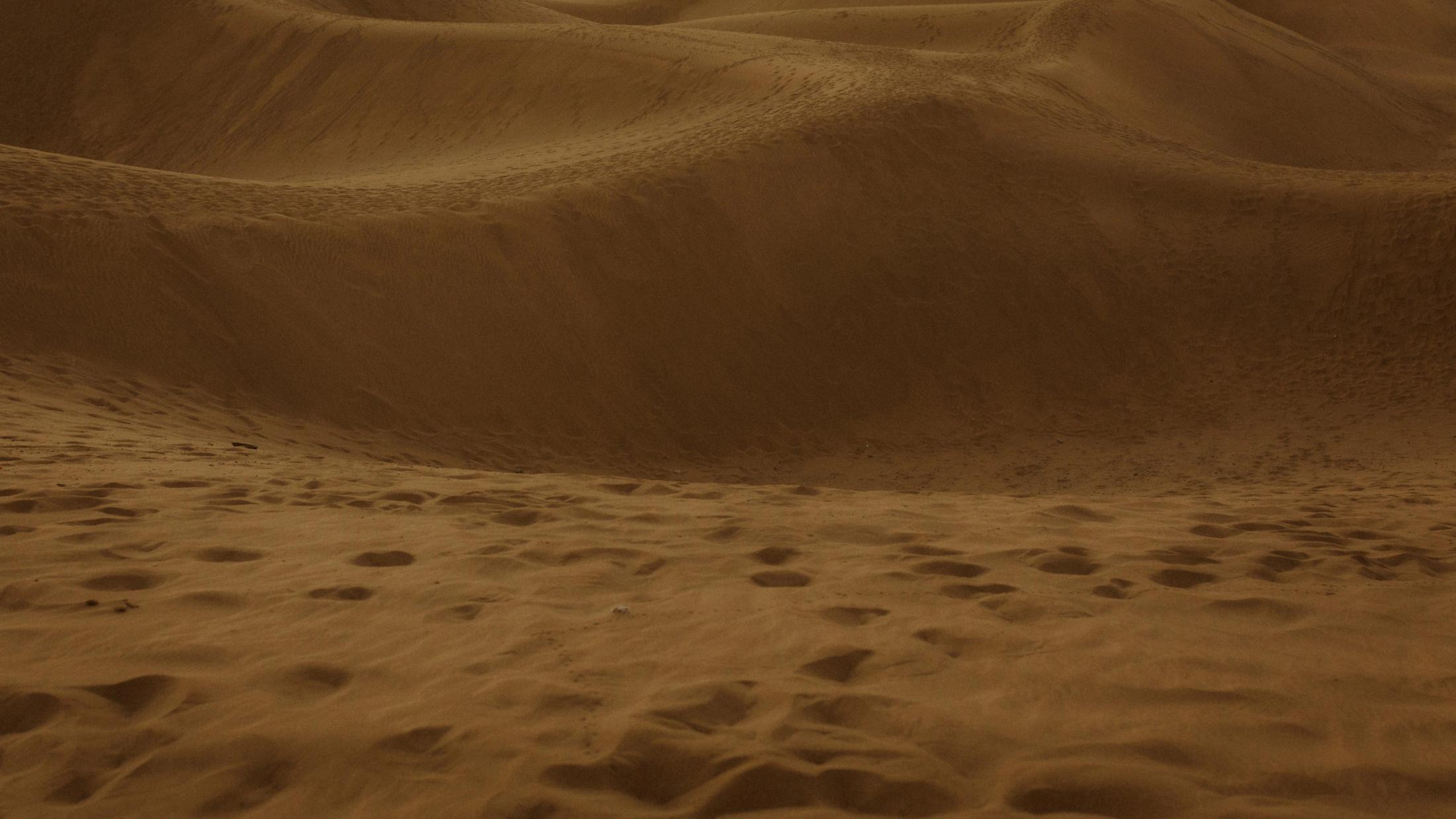 Empty sand dunes crossed by footprints in warm early light.