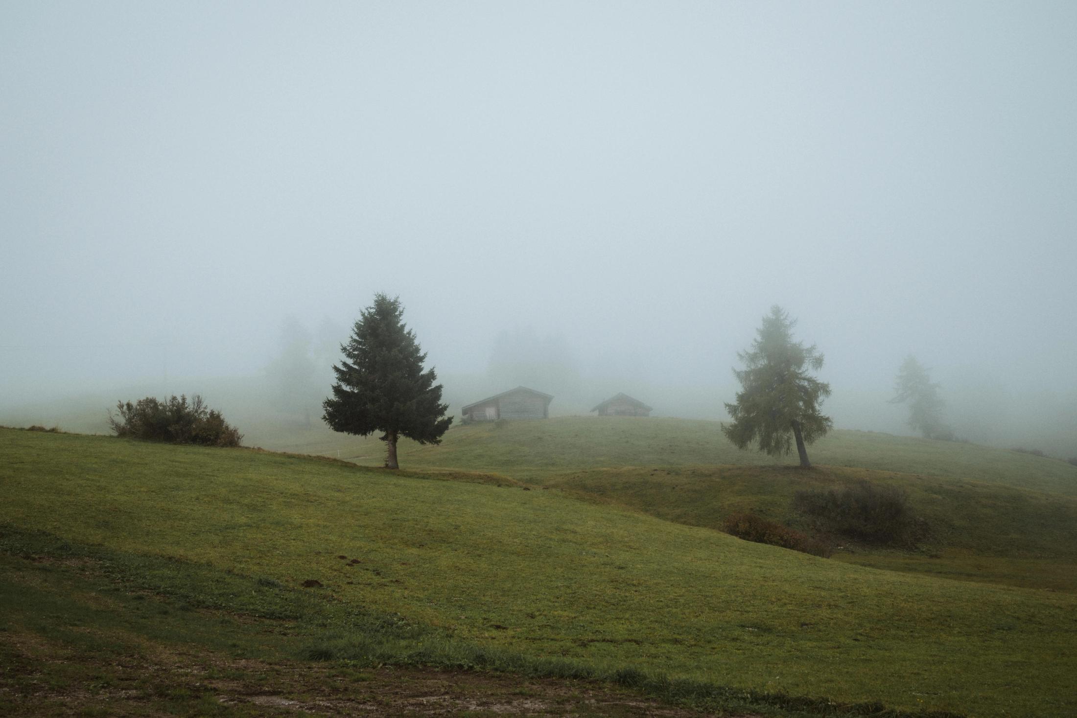 Dark trees fading into dense fog on Seiser Alm.