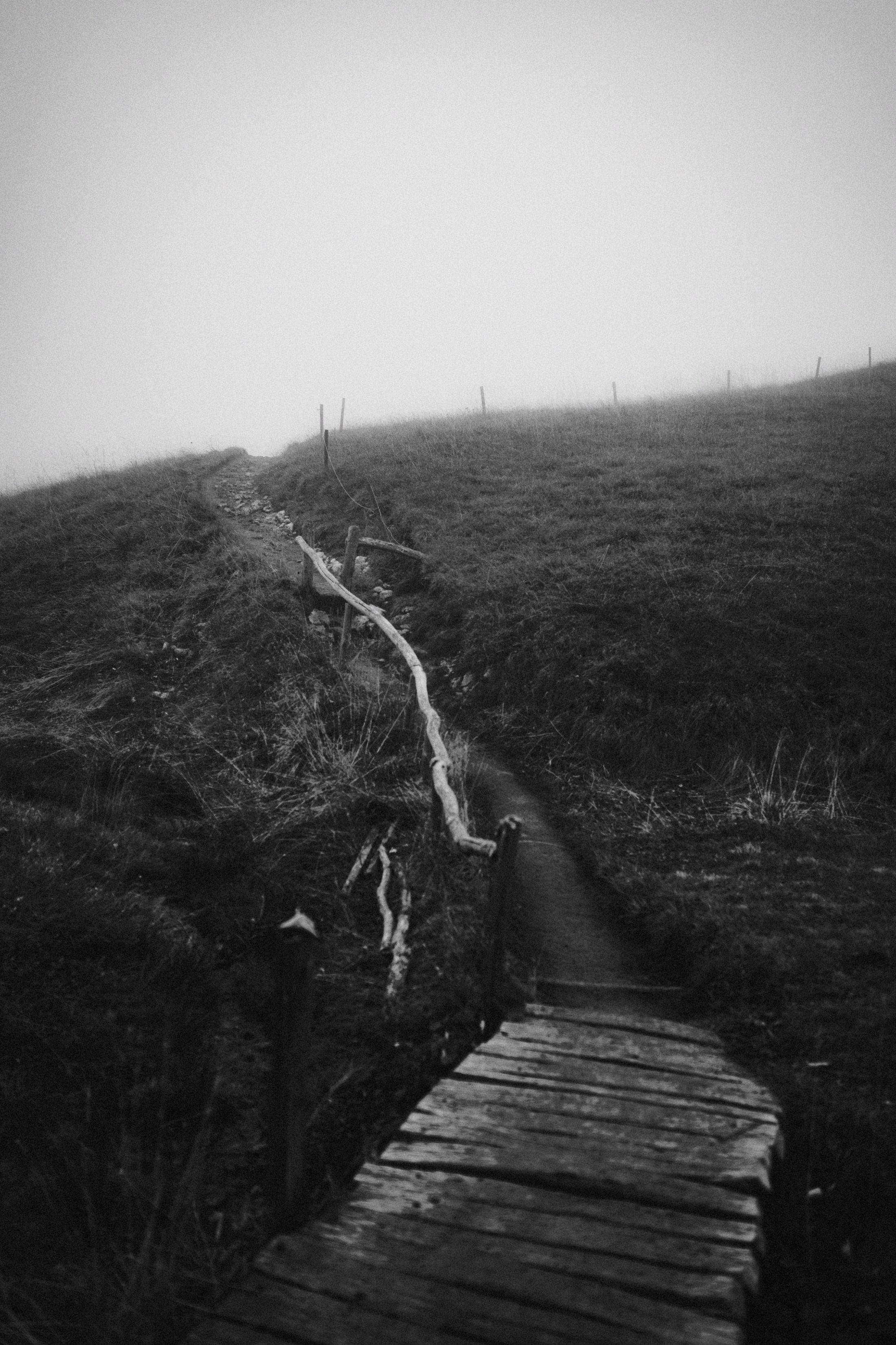 A wooden boardwalk stretching away through pale foggy grassland.
