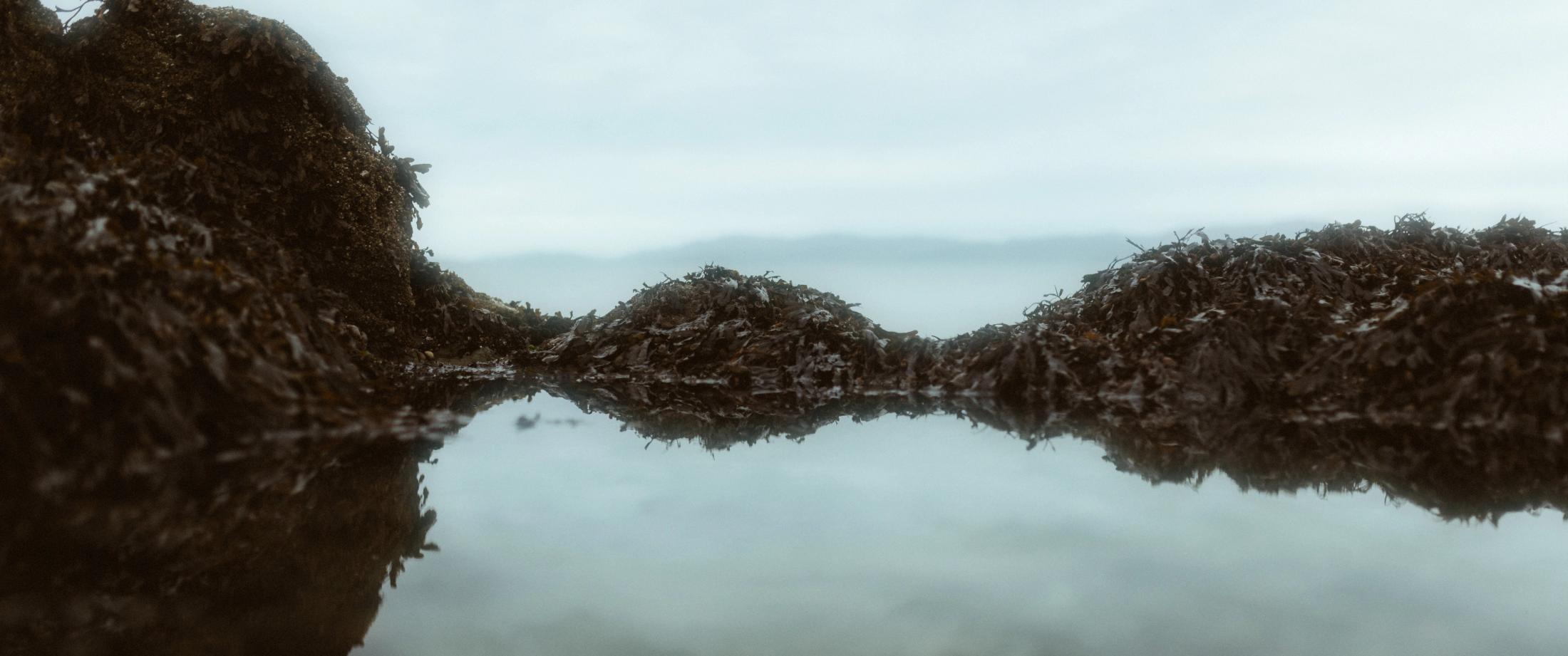 Dunkle Felsen und bewölkter Himmel spiegeln sich in einer flachen Pfütze an der irischen Küste.