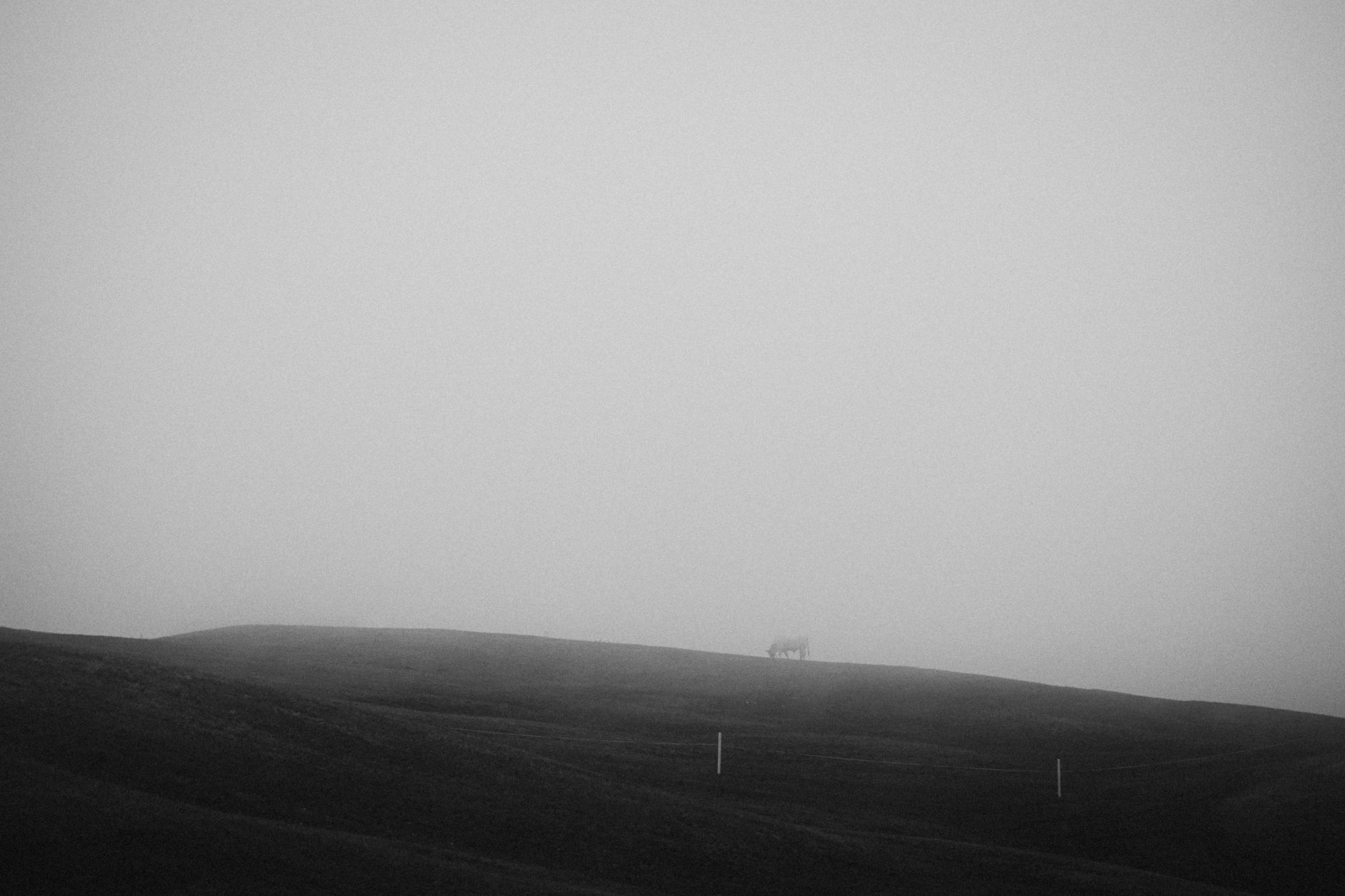 An empty pale hillside with the horizon erased by fog.