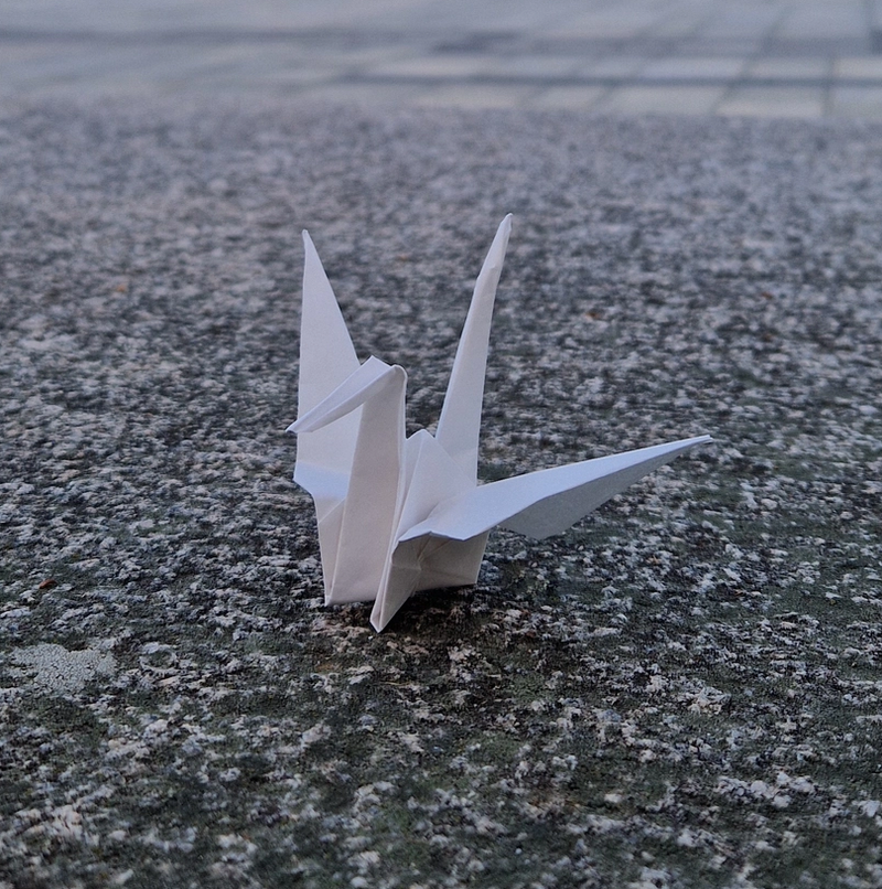 Årets fredspris er en viktig sivilsamfunnspris for avskaffelse av atomvåpen