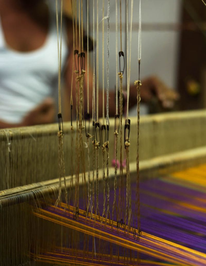 Yellow and purple warp threads on a traditional Tamil cotton handloom