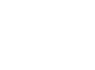 SoundQraft logo