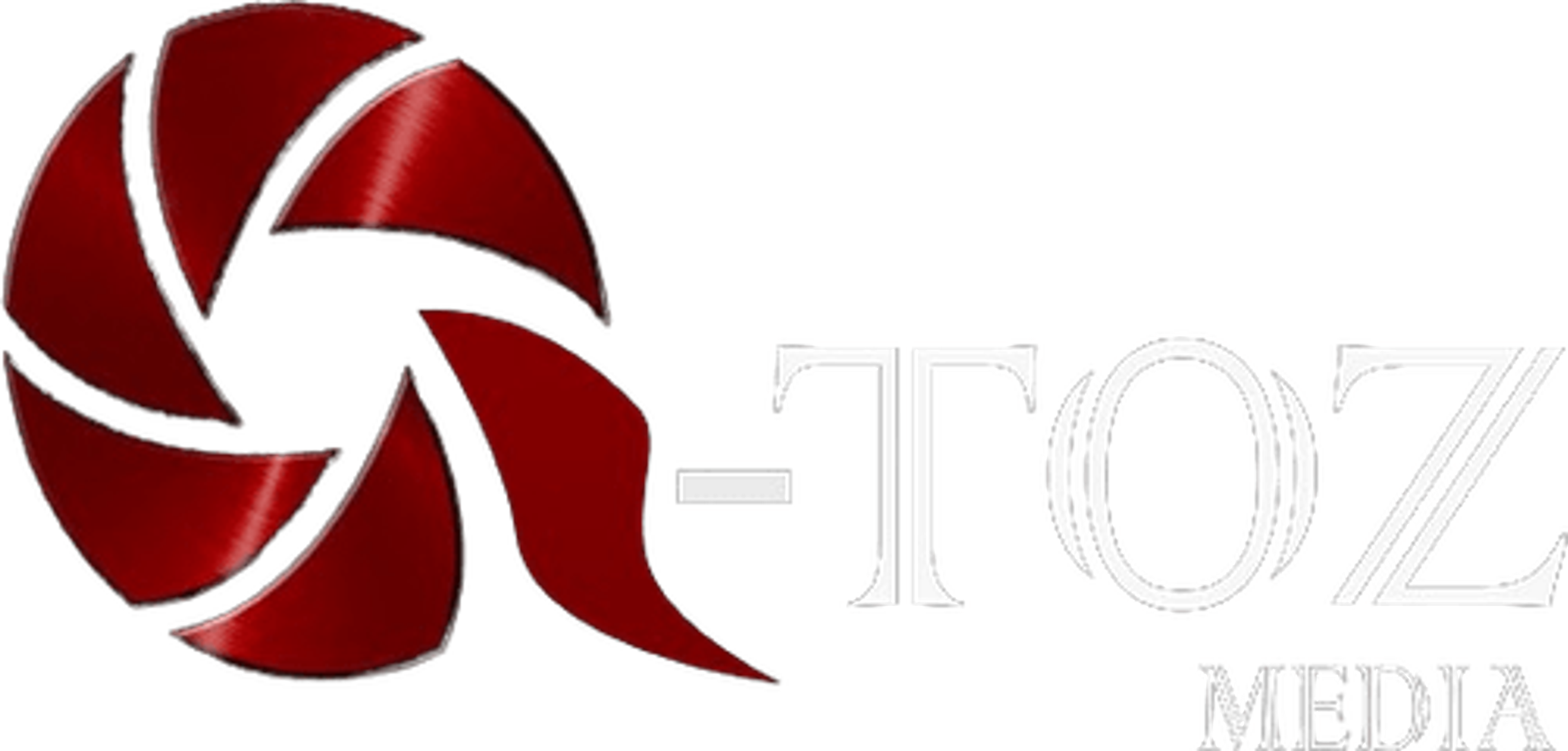 Q-Toz Media logo
