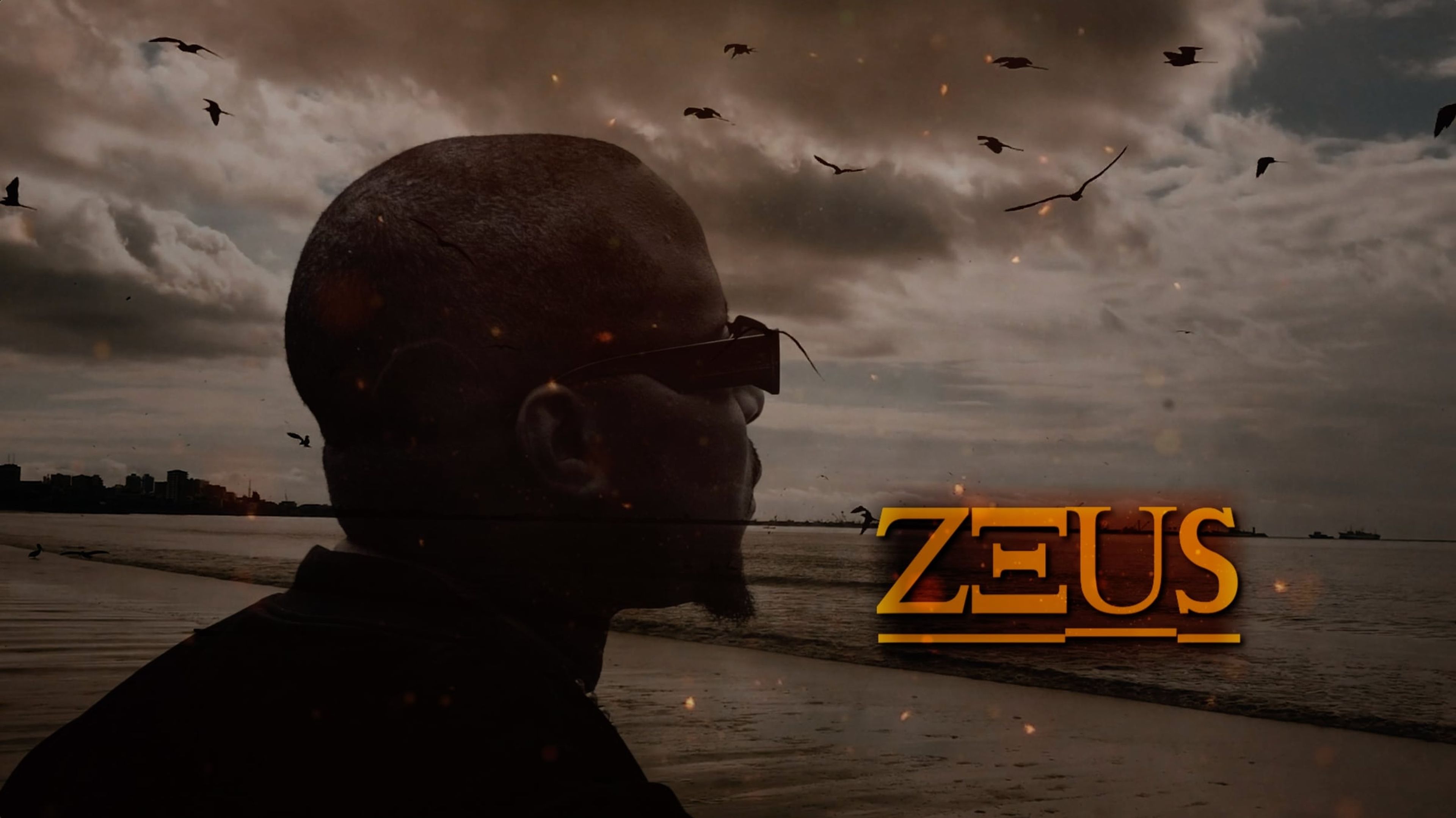 Silhouetted figure under a stormy sky with a ZEUS title