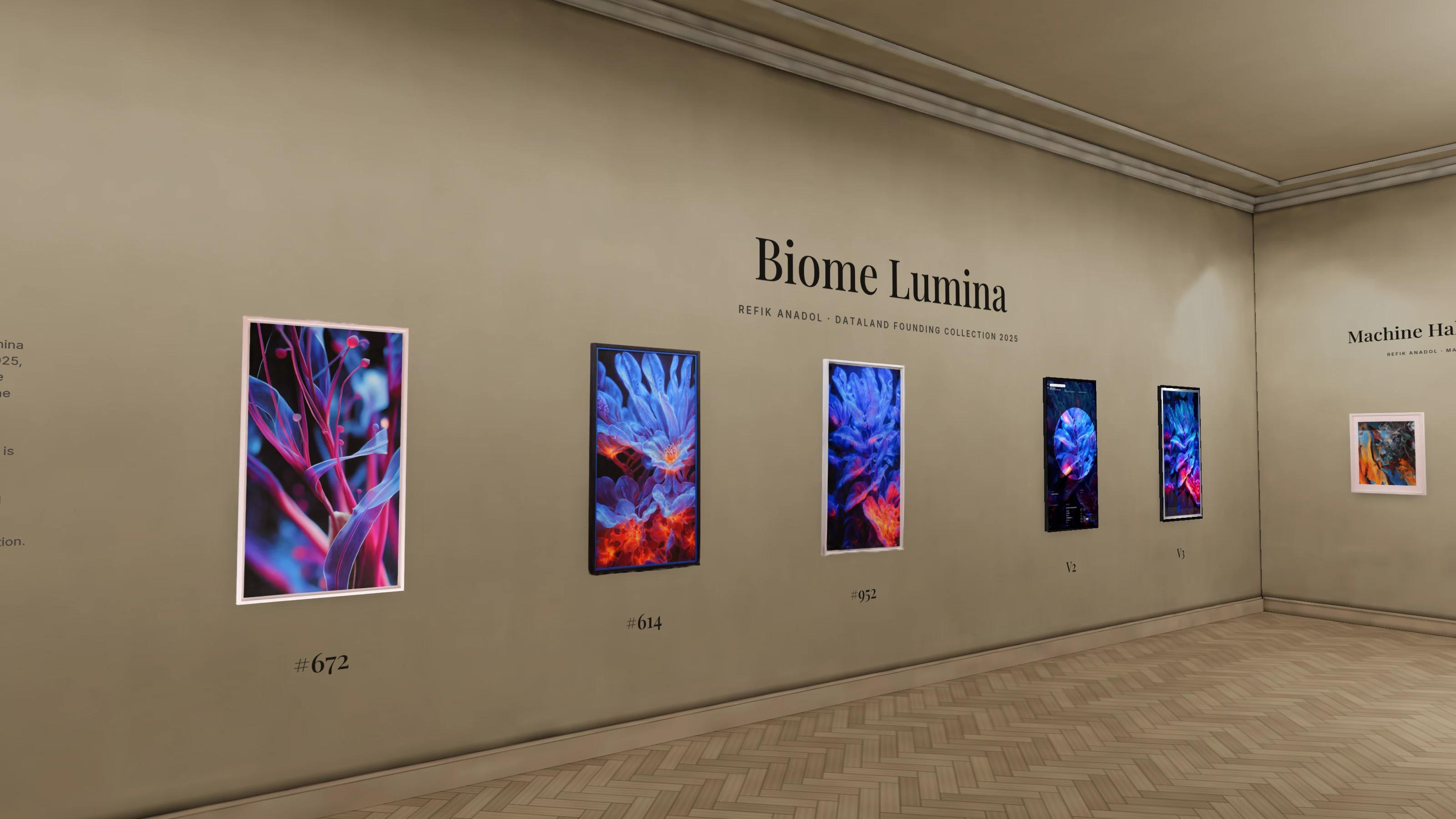 The Biome Lumina wall in the Galerie Midl 3D gallery: three prints by Refik Anadol with their version numbers, the wall title, two screens showing the work in motion, and Machine Hallucinations on the side wall.