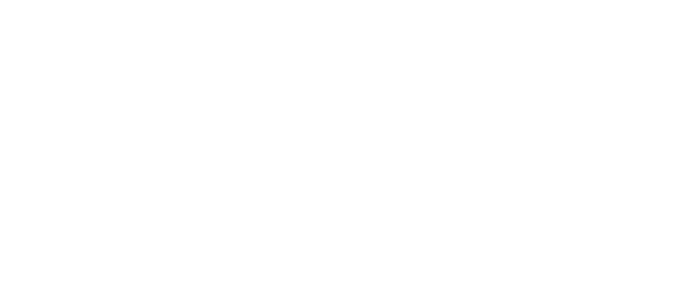 Fanatics