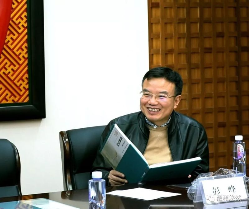 北京大学艺术学院副院长，著名策展人彭锋