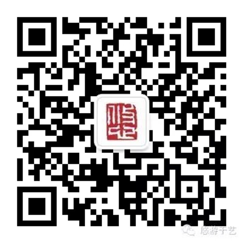清婉温润西洲曲配图