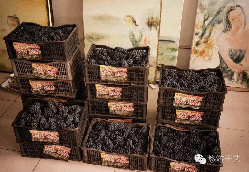 自酿琐记——红酒移我情 杯酒慰平生配图