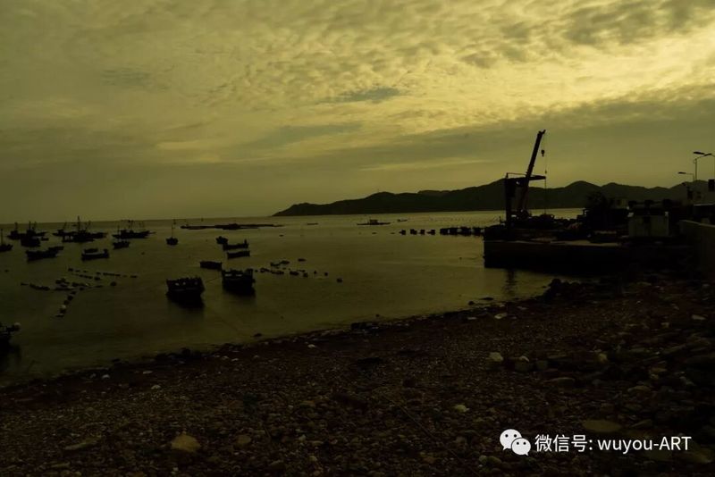 油彩桂花酒 小岛堪移情配图