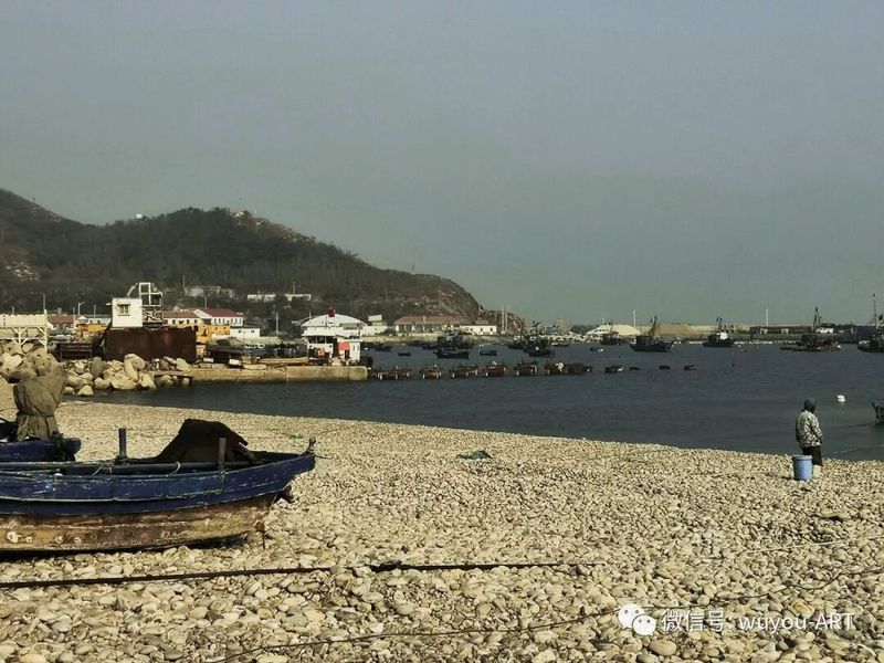 油彩桂花酒 小岛堪移情配图