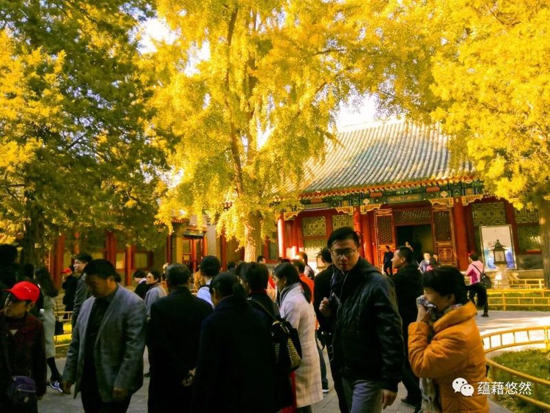 恭王府现场