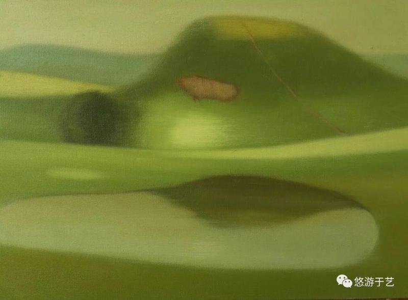 湖光坝色 布面油彩 50x70cm 2017
