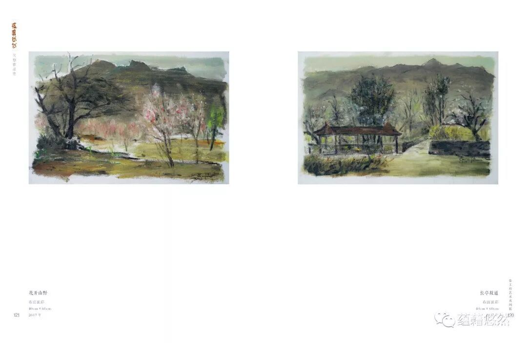 蕴藉悠然 吴悠油画作品集配图