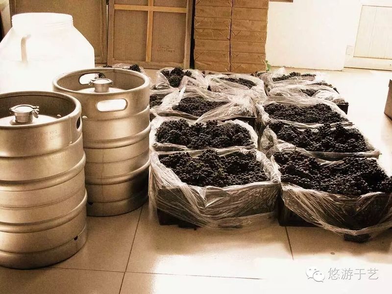 自酿琐记——红酒移我情 杯酒慰平生配图