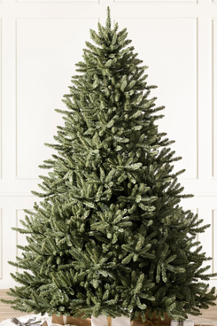 Balsam Hill Classic Blue Spruce