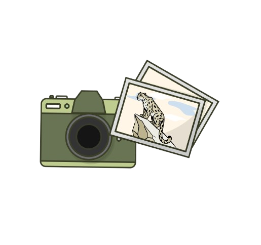 Snow Leopard Photography Expedition