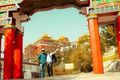 Trip photo 3