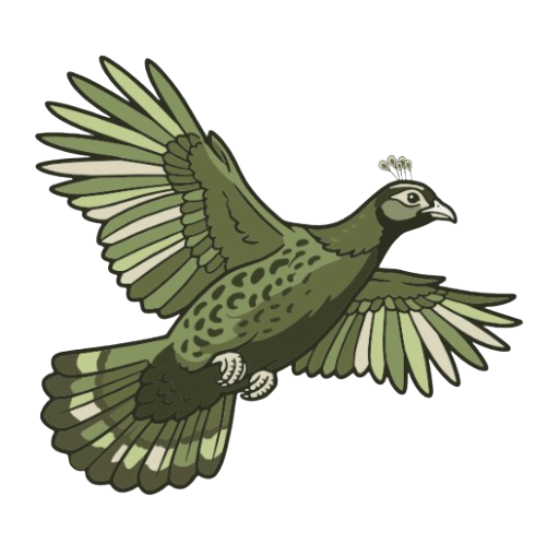 Bird observation