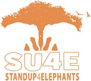 Stand up 4 elephant