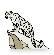 Snow Leopard Quest