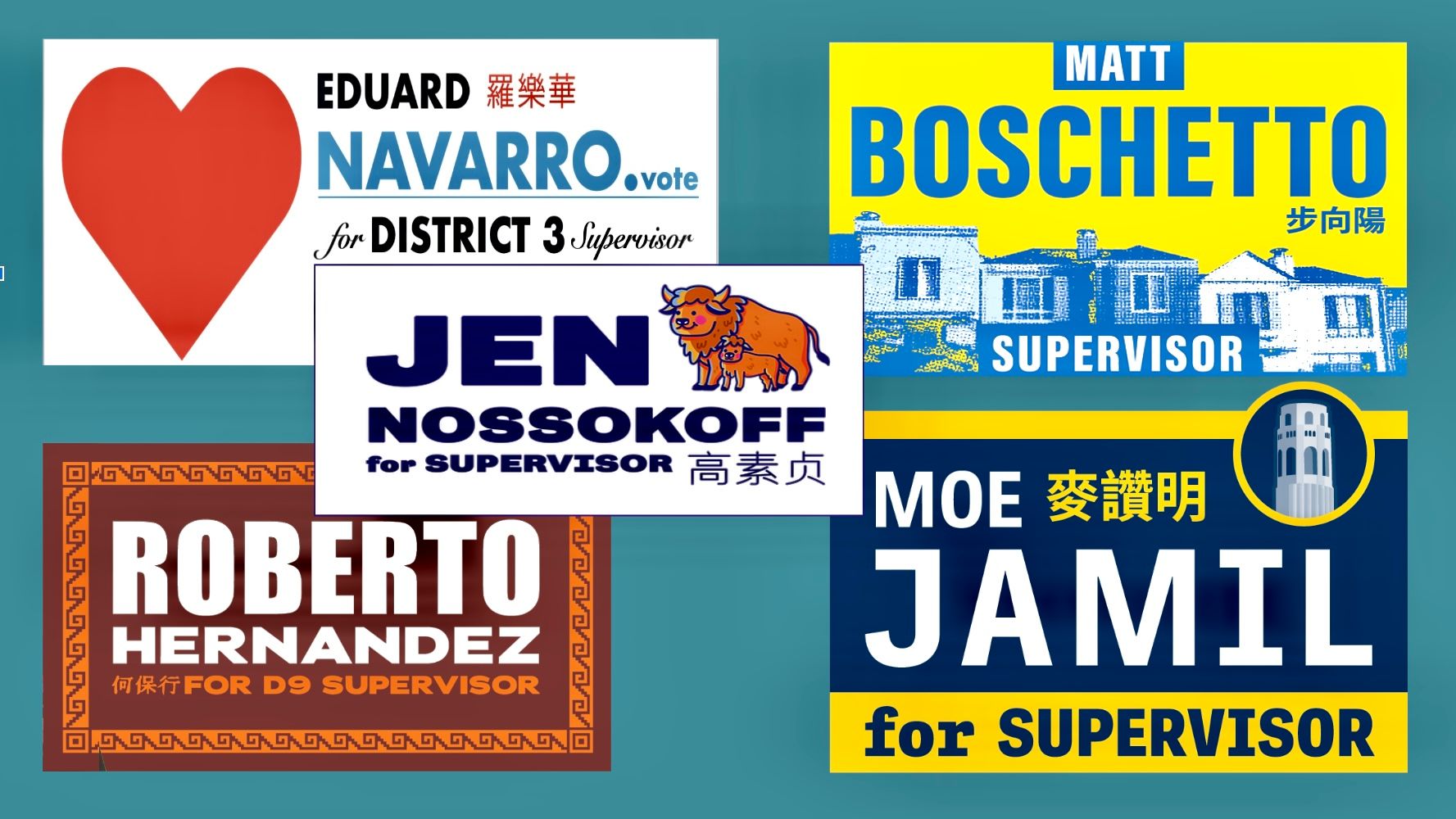 These first-time supervisor candidates are rejected for using their Chinese-character-based names on the upcoming November election ballot under the newly-implemented law. Graphics by Portia Li.