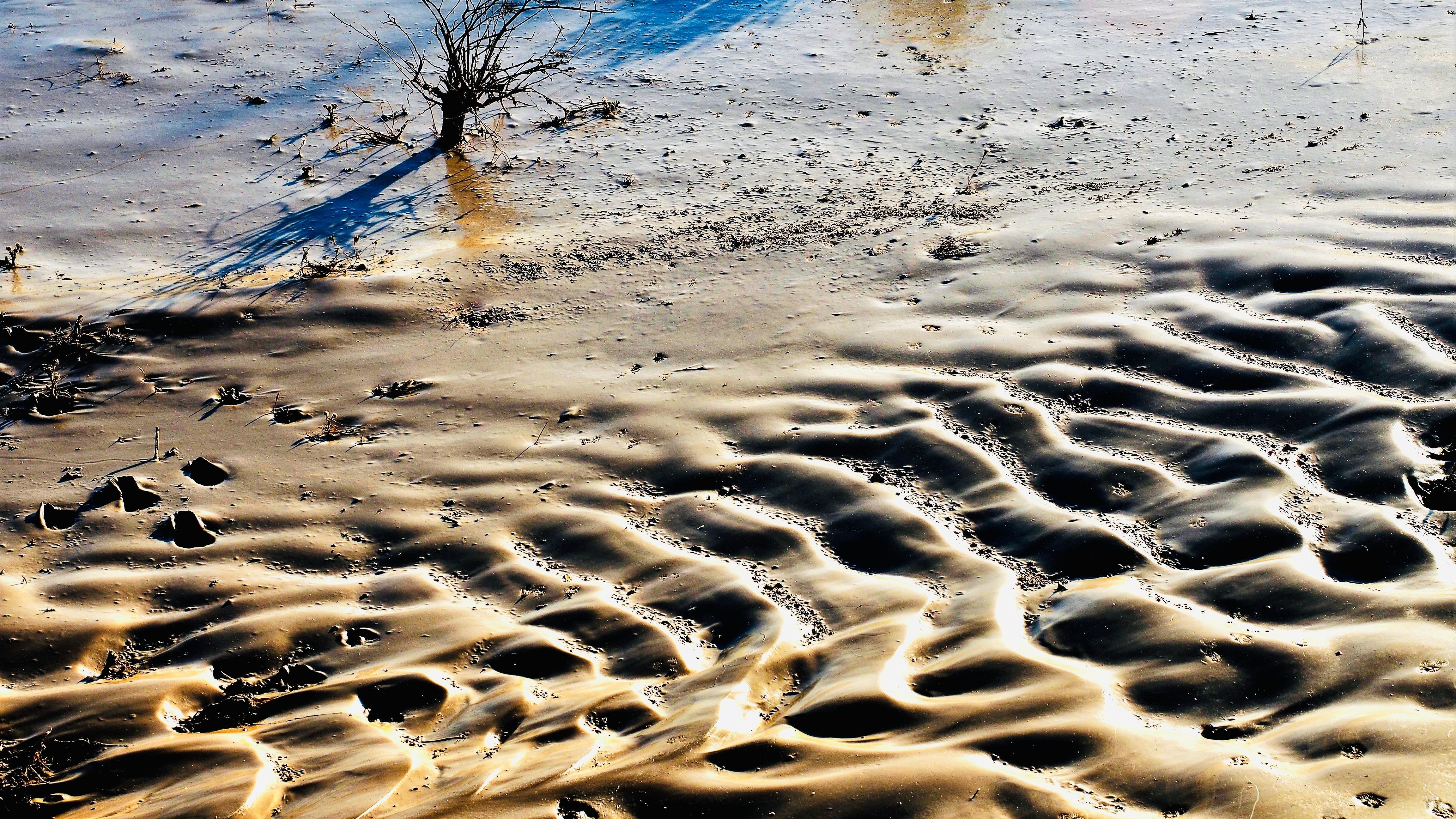 Explore the beauty of Anza-Borrego Desert State Park in San Diego. Photo by Ben Kwan