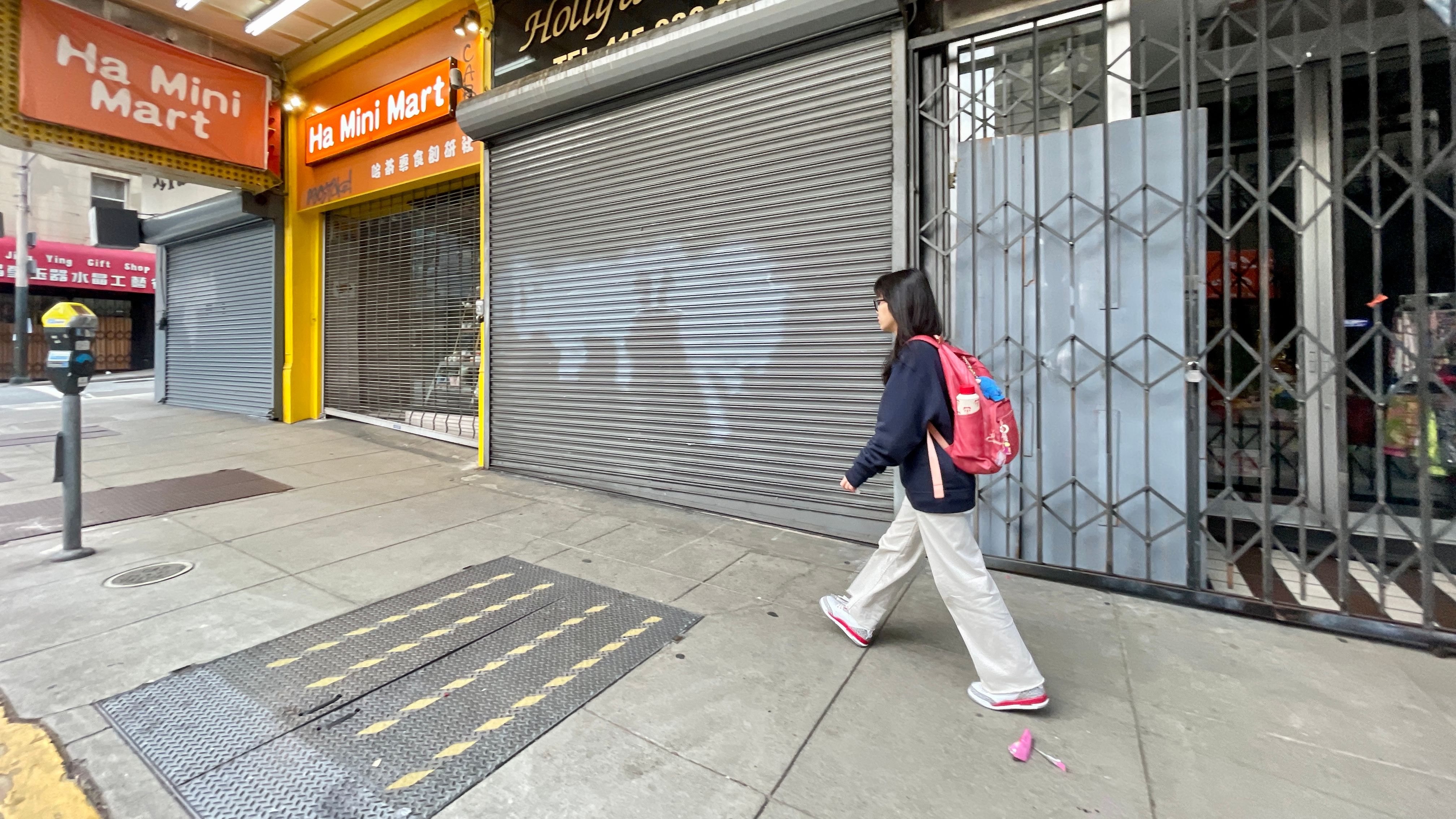 The PermitSF legislation adds security gates as part of the City’s existing amnesty program for awnings and signs.  Photo by Portia Li