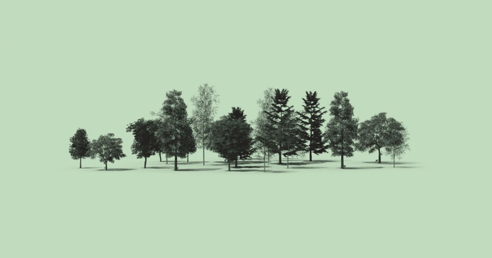 Carbon Credits Are Coming Out Of European Forests