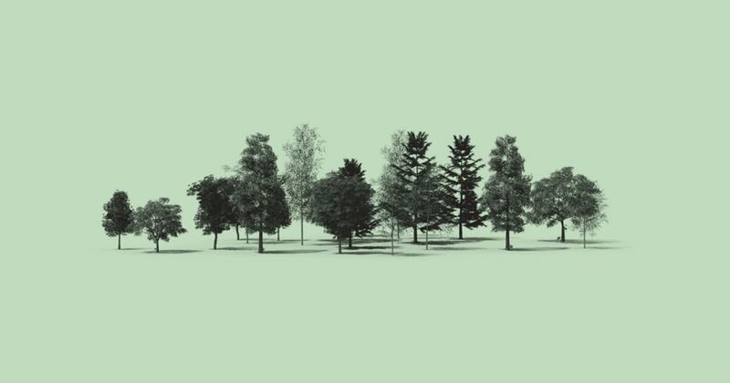 Carbon Credits Are Coming Out Of European Forests