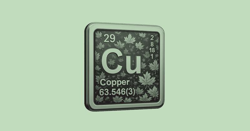 Canadian Copper deal