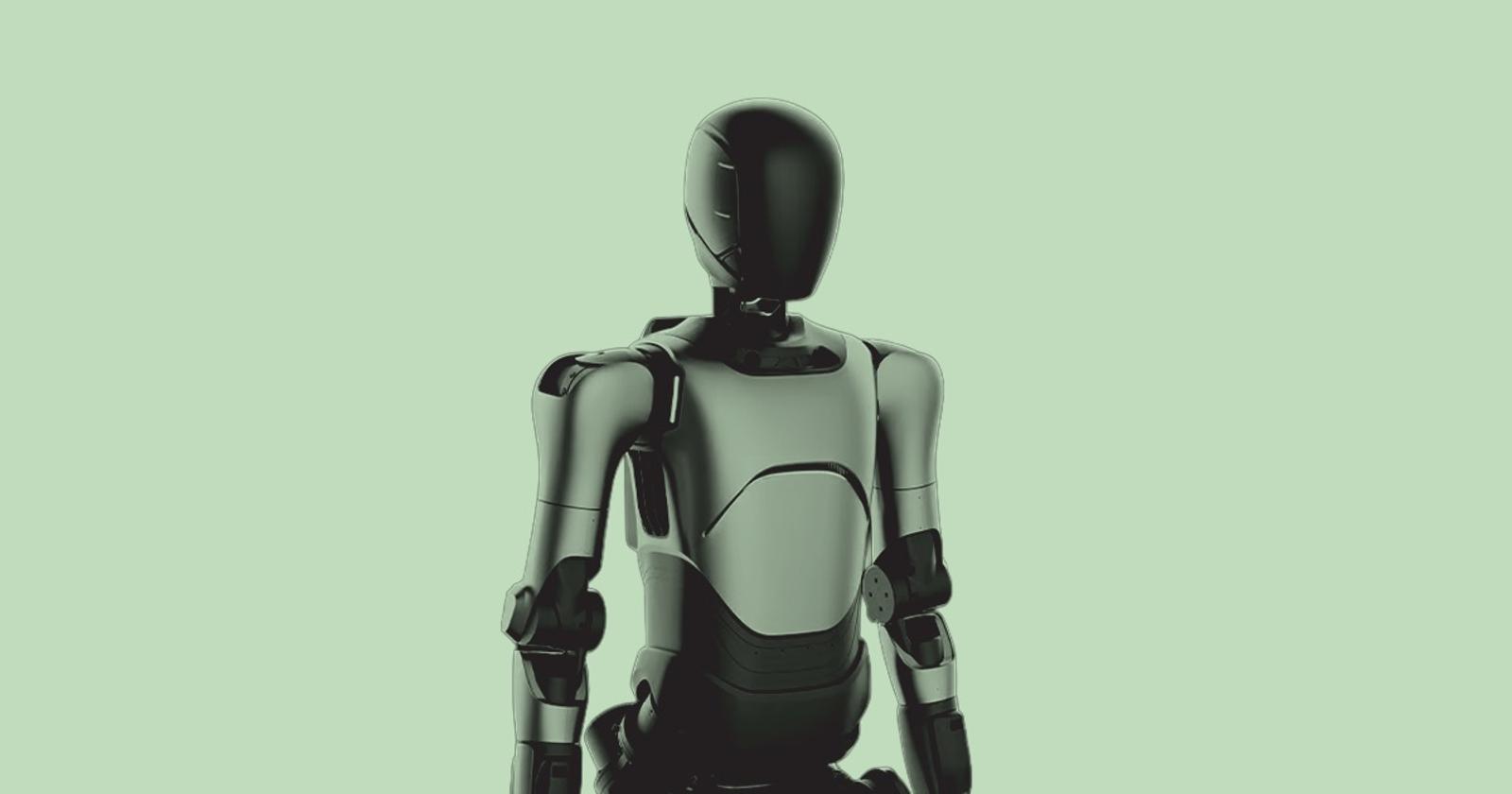 Humanoid Robot