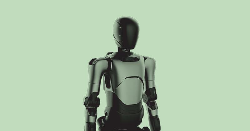 Humanoid Robot