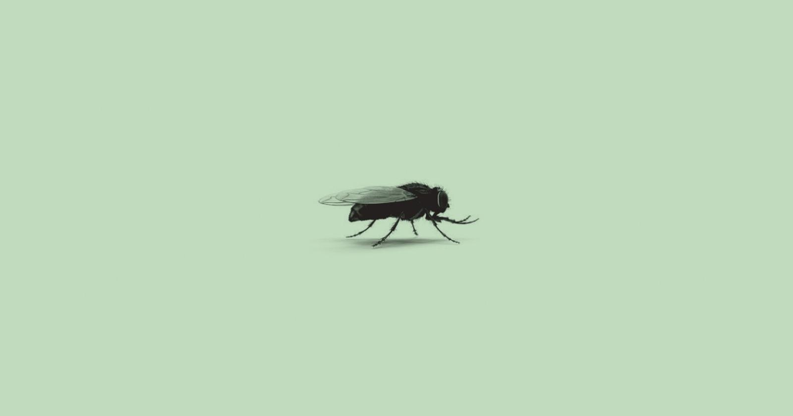 One of the World's Biggest Food Companies is Betting On Bug Protein