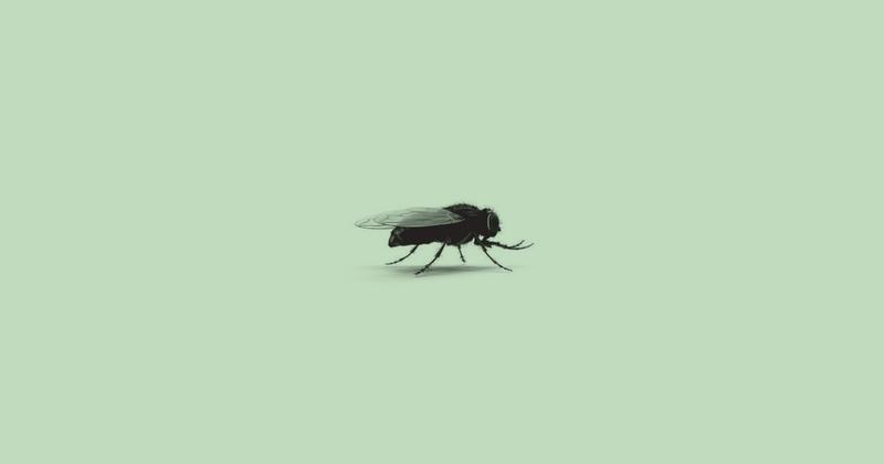 One of the World's Biggest Food Companies is Betting On Bug Protein