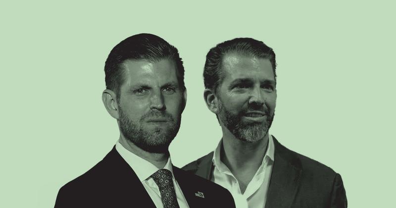 Dominair Securities Trump brother data centres