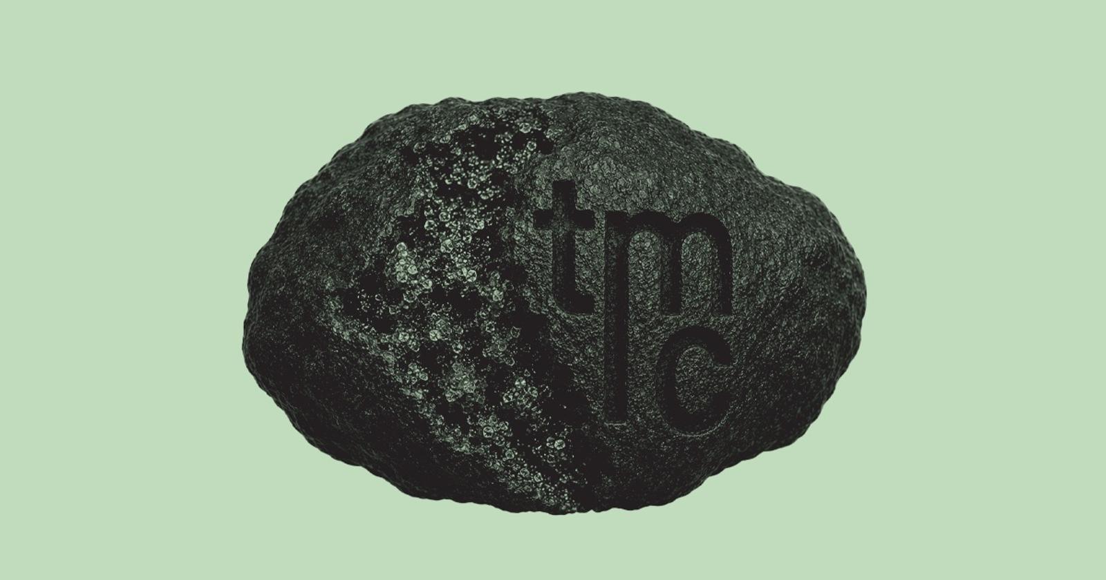 The Metals Company polymetallic nodule