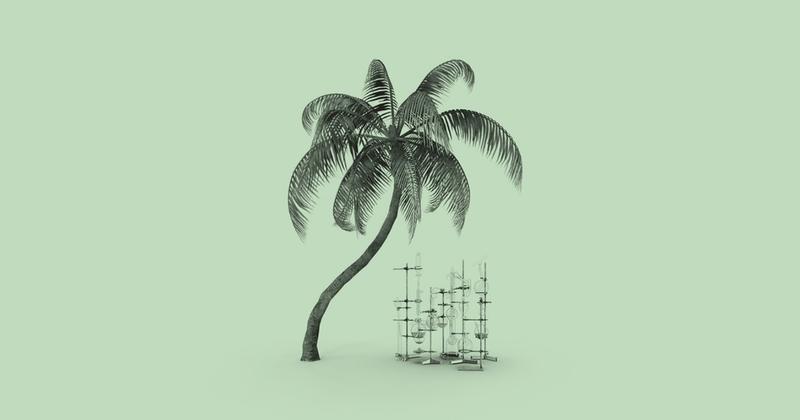 The Gates Foundation Is Backing Lab Grown Palm Oil 