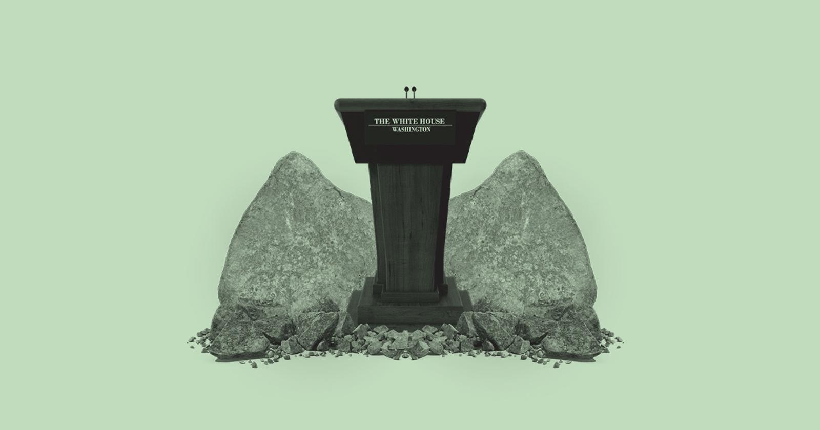 American rare earths and critical minerals