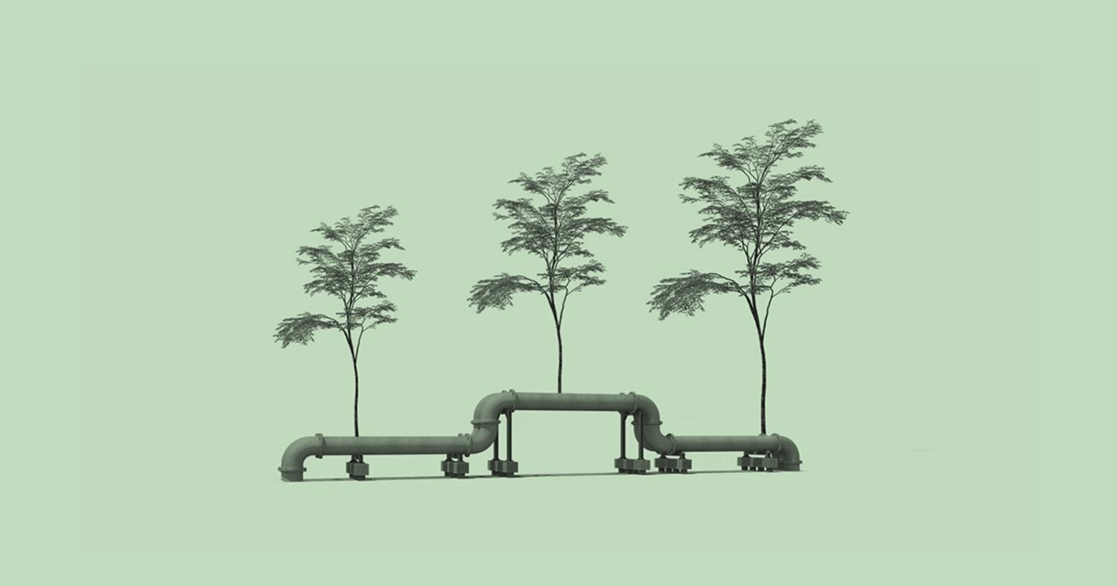Big Oil Wants In On Green Tech Startups
