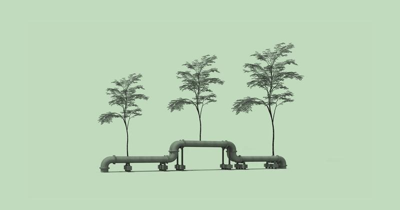 Big Oil Wants In On Green Tech Startups