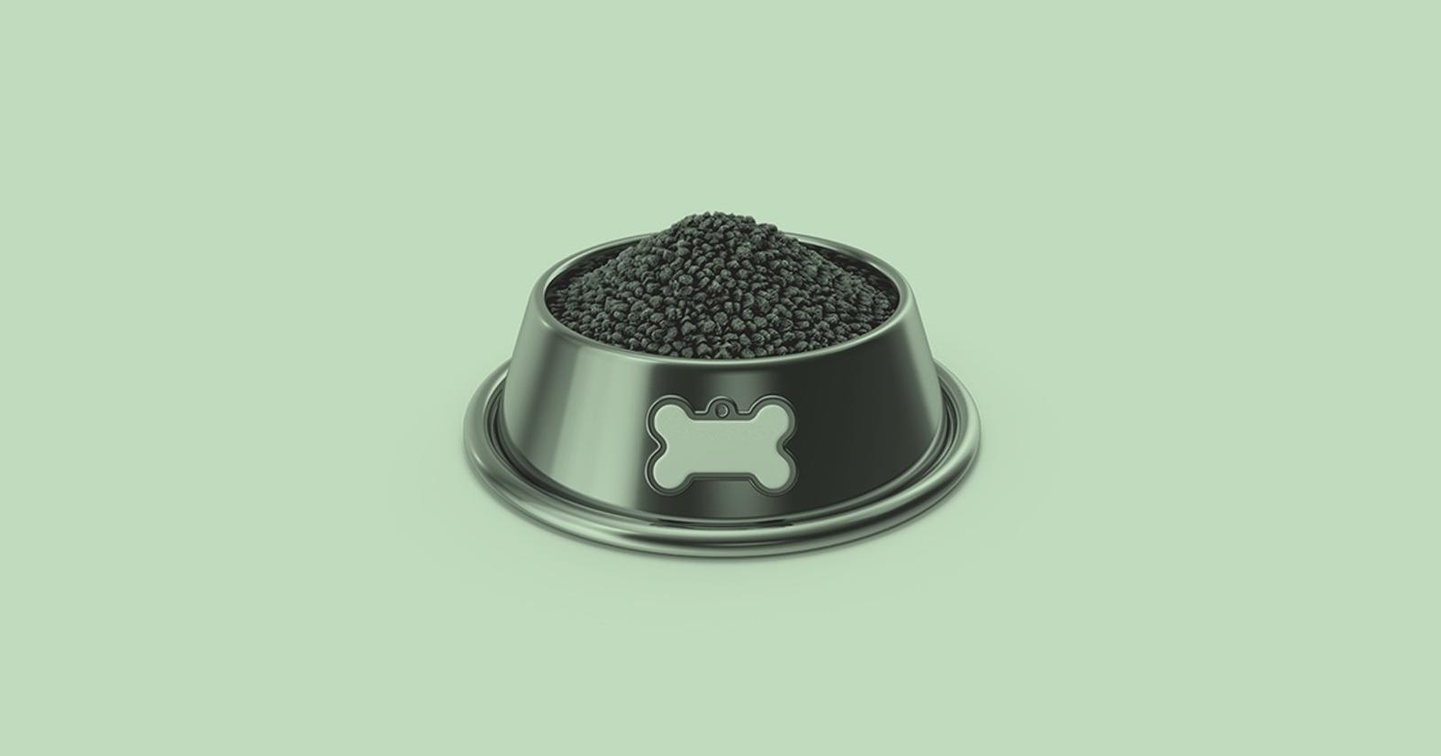 Lab Grown Meat For Pets is Coming to Europe