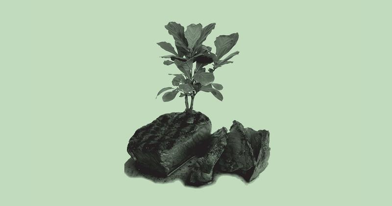 The Startup Turning Tobacco Into Cultivated Meat